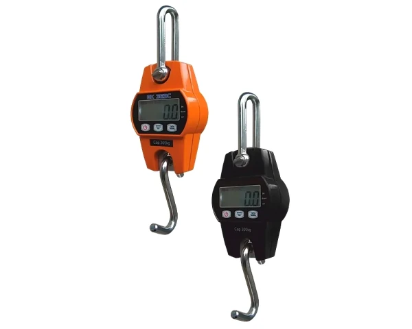 Купить Крановые весы ВК ЗЕВС І-120/300