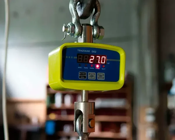 Купити Кранові ваги VAGAR D02-2000 (2 т)