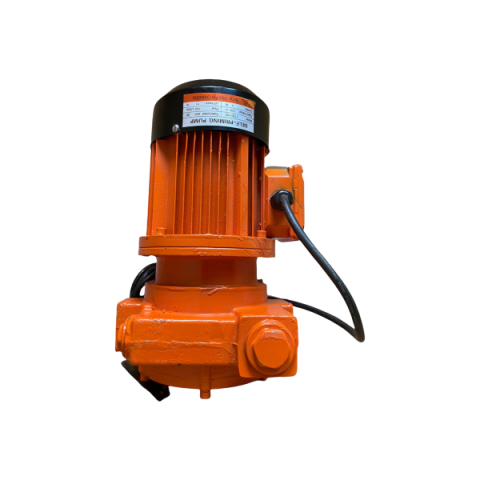 Купити Насос для перекачування бензину 220 В Petroll EX 100