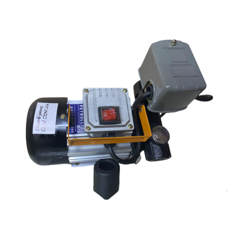 Купити Насос Petrol AC 60 з Авто-Стоп