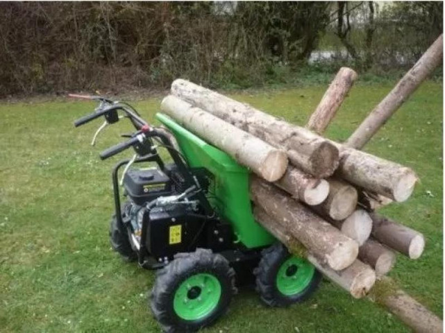 Купити Колісний міні самоскид Zipper ZI-RD300