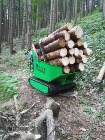 Купити Думпер гусеничний, міні самоскид ZIPPER ZI-MD500HST