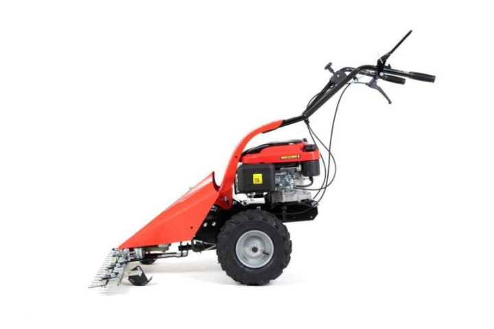 Купить Сенокосилка бензиновая Faworyt JK87-196L