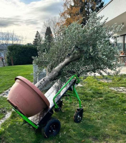 Купити Электрическая тележка ZIPPER ZI-ET260