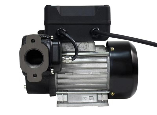 Купити Насос з лічильником преднабір дози для перекачування дизельного палива 220В, 60л\хв