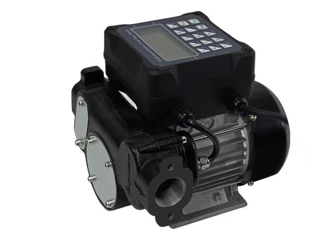 Купити Насос з лічильником преднабір дози для перекачування дизельного палива 220В, 60л\хв