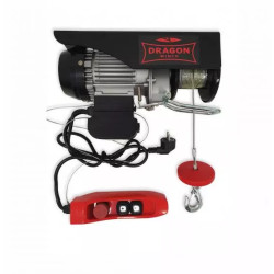 Купити Тельфер електричний Dragon Winch DWI 125/250