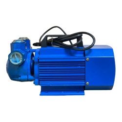 Купити Насос DYB-80EX, 220 В