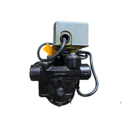 Купити Насос Petrol AC 60 з Авто-Стоп