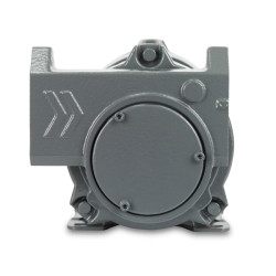 Купити Насос для бензину 220 В, IRON EX 220-50