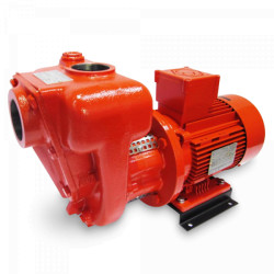 Купити CG-400 Atex Насос для бензину/кероснину 400л/хв 220В