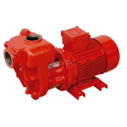 Купити CG-900 Atex електричний насос для бензину/керосину 900л/хв 220В Іспанія