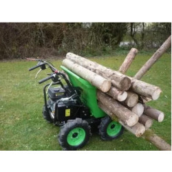 Купити Колісний міні самоскид Zipper ZI-RD300