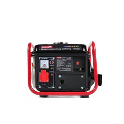 Купити Генератор бензиновый Tvardy T05001