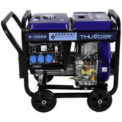 Купити Дизельный генератор THUNDER D-12000
