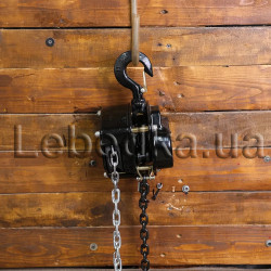 Купити Таль ланцюгова Dragon Winch 1T 6M