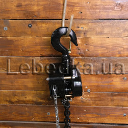 Купити Таль ланцюгова Dragon Winch 3T 6M