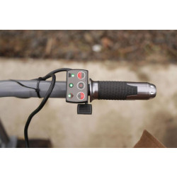 Купити Аккумуляторная тачка MAST EWD300B