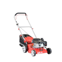 Купити Газонокосилка бензиновая Faworyt SH41P123L