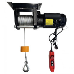 Купити Тельфер електричний Dragon Winch DWI RX300/600