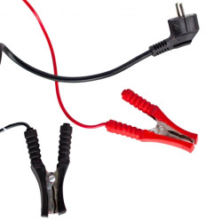 Купити Зарядний пристрій PULSO BC-40100 6&12V/10A/12-200AHR/стріл. індикатор