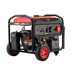 Купить Генератор бензиновий 9/10 кВт, 400/230 В, DUAL POWER, бак 25 л, електро/ручний старт, мідна обмотка,