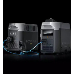 Купити Двопаливний Генератор EcoFlow Smart Generator (газ-бензин)