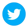 Icon Twitter